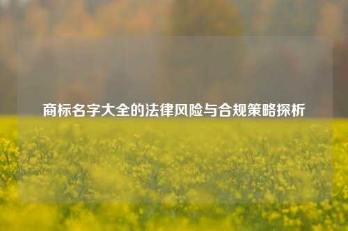 商标名字大全的法律风险与合规策略探析