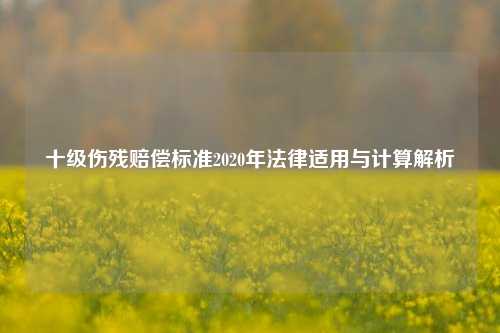 十级伤残赔偿标准2020年法律适用与计算解析