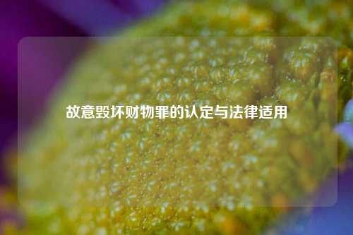故意毁坏财物罪的认定与法律适用