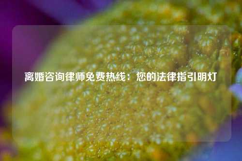 离婚咨询律师免费热线：您的法律指引明灯