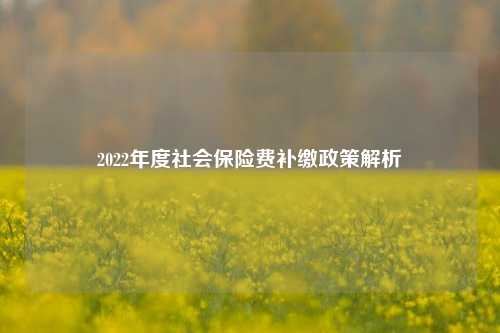 2022年度社会保险费补缴政策解析