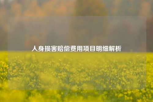 人身损害赔偿费用项目明细解析