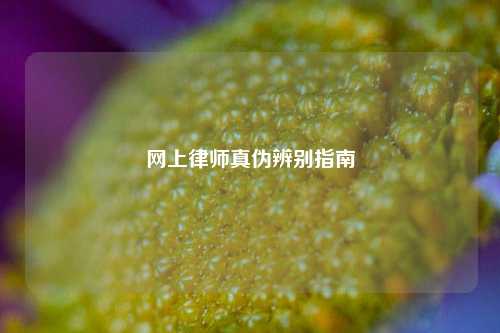 网上律师真伪辨别指南