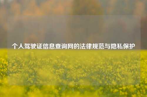 个人驾驶证信息查询网的法律规范与隐私保护