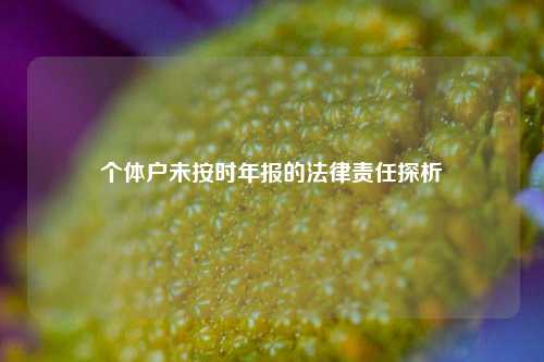 个体户未按时年报的法律责任探析
