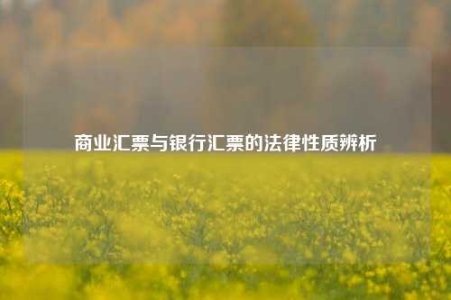 商业汇票与银行汇票的法律性质辨析